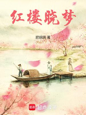 红楼晓梦百度txt