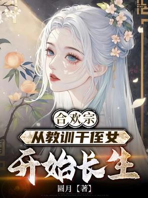 作者圆月