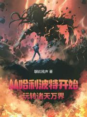 从哈利波特开始玩转诸天万界聊此残声