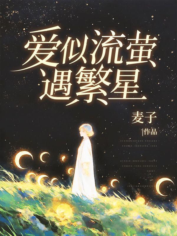 爱似流星现场版