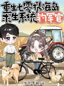 七零海岛生日常txt宝书网