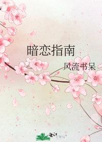 暗恋指南苏江越